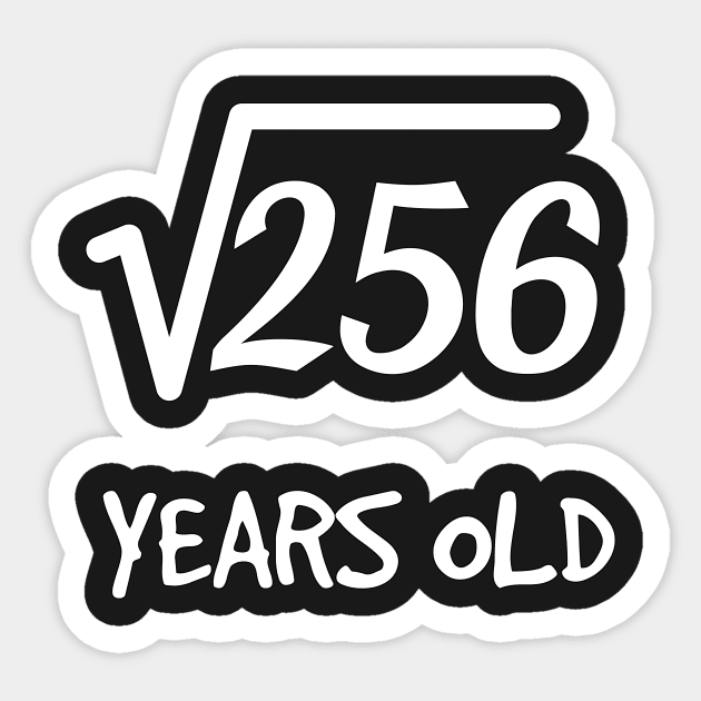 Square Root of 256: 16th Birthday 16 Years Old Teen Boy Girl Sticker by rayrayray90